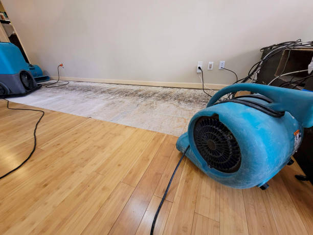 Professional Basement Flood Cleanup technician working in Chapel Hill, TN
